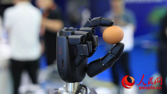 徐该分核心首批手艺司理人